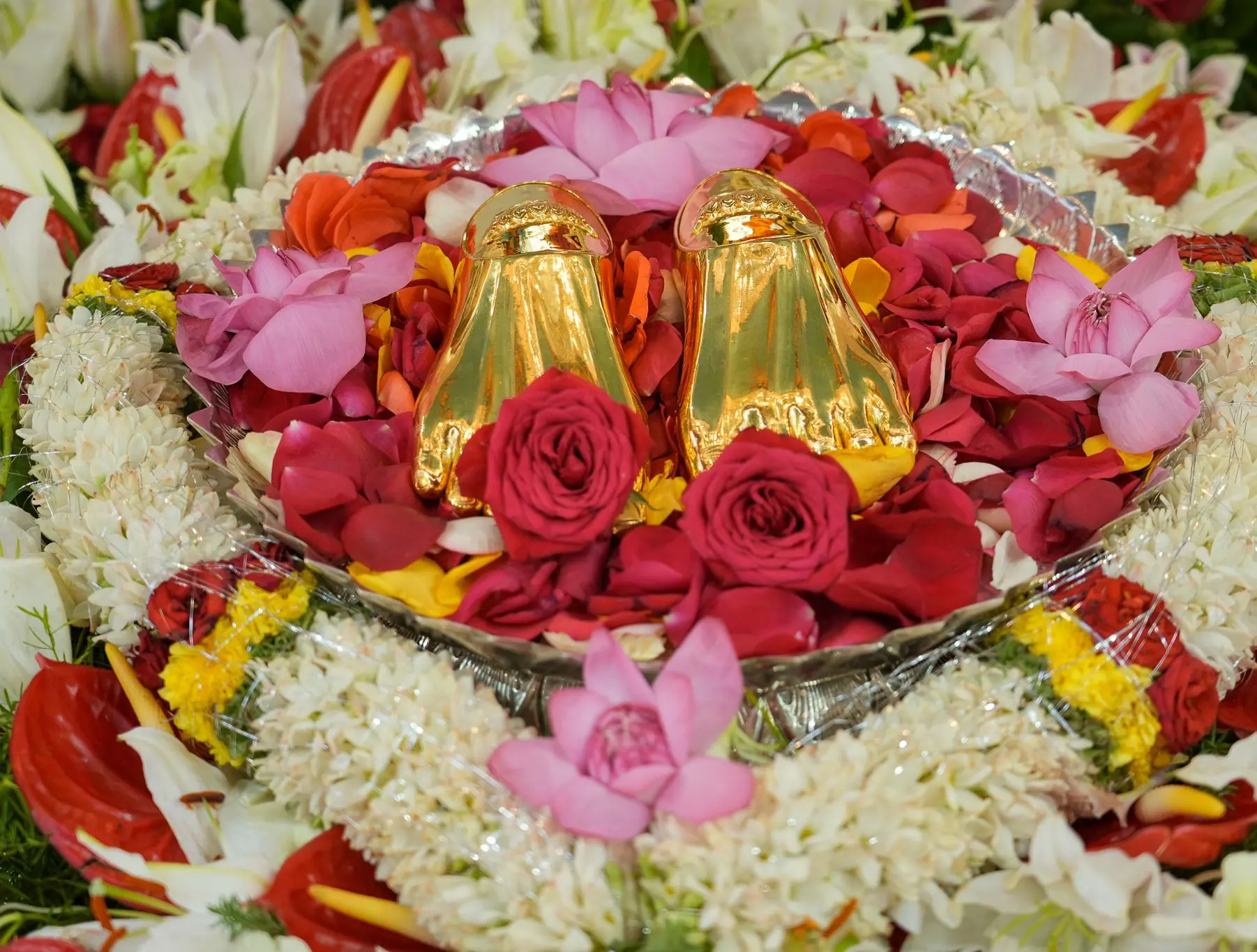 गुलाब की पंखुड़ियों और कमल पर स्वर्ण पादुकाएँ