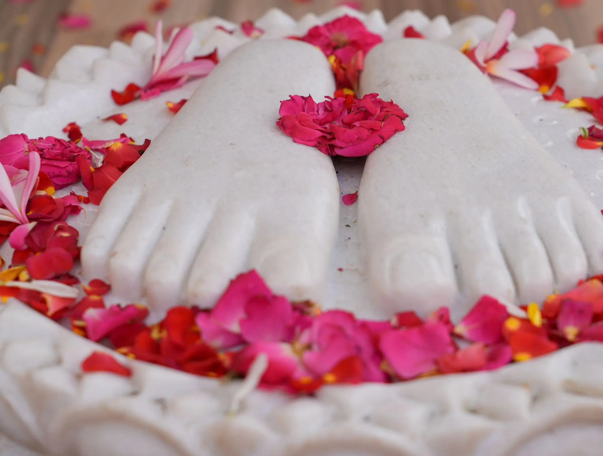 गुलाब की पंखुड़ियों से घिरी संगमरमर की पादुकाएँ